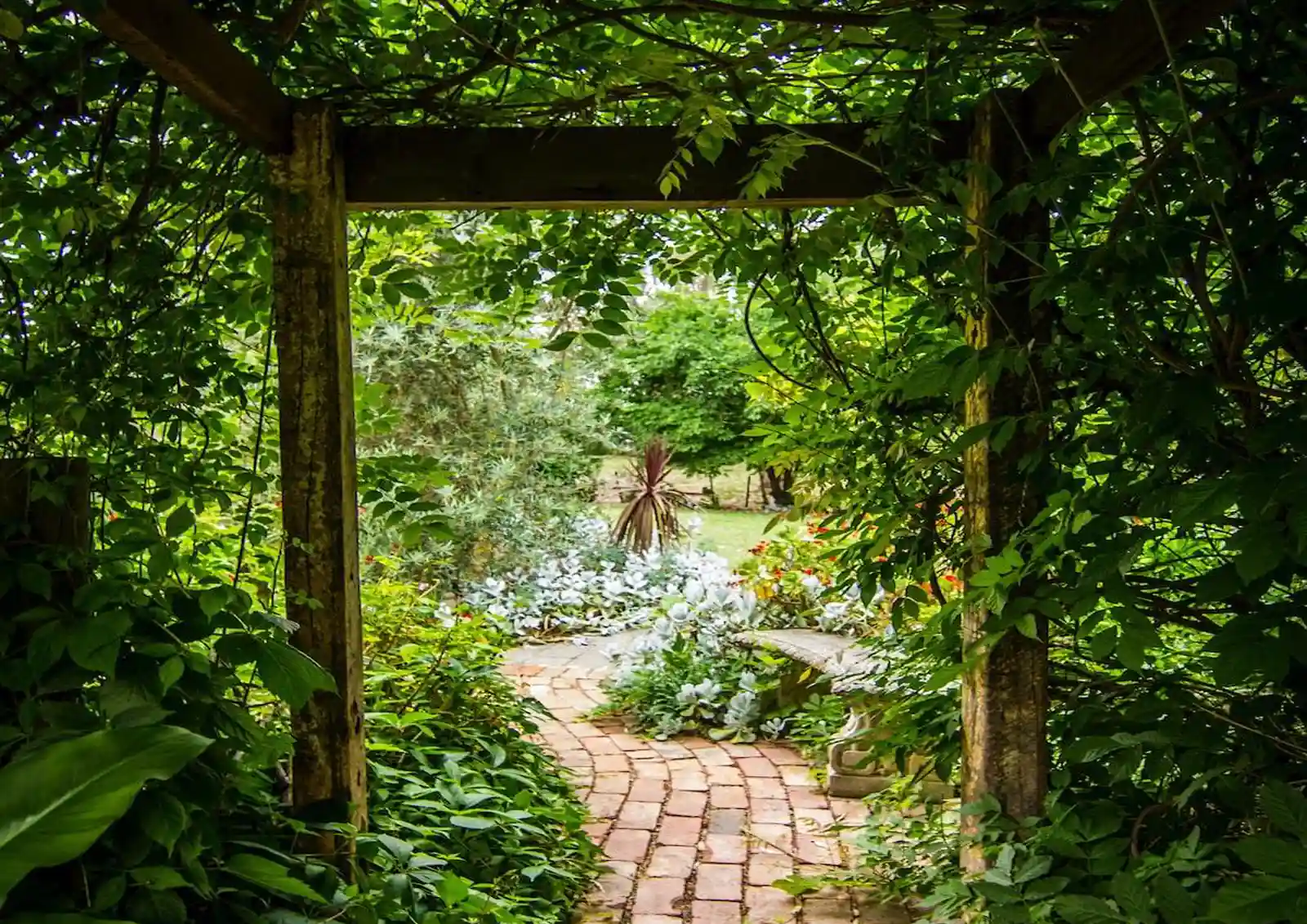 dlf-the-arbour-sector-63